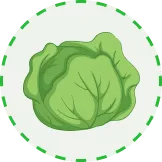 匯聚全球體育精彩 - 斗鱼网页版