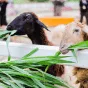 探索體育娛樂的無限可能 - 斗鱼网页版